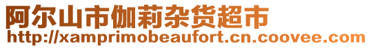 阿爾山市伽莉雜貨超市