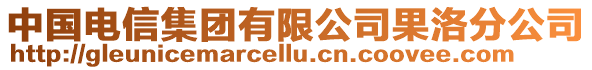 中国电信集团有限公司果洛分公司