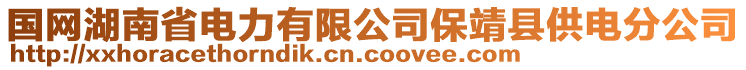 國網湖南省電力有限公司保靖縣供電分公司