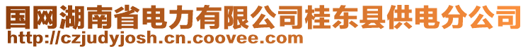 國(guó)網(wǎng)湖南省電力有限公司桂東縣供電分公司