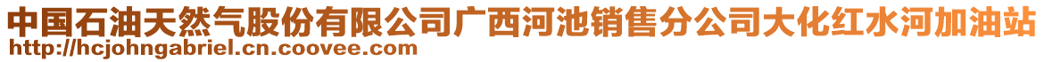 中國石油天然氣股份有限公司廣西河池銷售分公司大化紅水河加油站