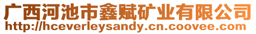 廣西河池市鑫賦礦業(yè)有限公司