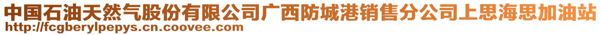 中國石油天然氣股份有限公司廣西防城港銷售分公司上思海思加油站