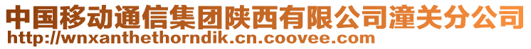 中國移動通信集團(tuán)陜西有限公司潼關(guān)分公司