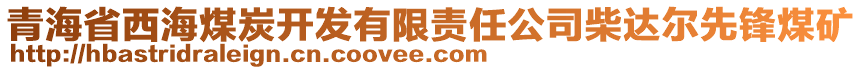 青海省西海煤炭開發有限責任公司柴達爾先鋒煤礦