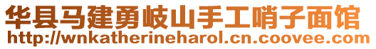 華縣馬建勇岐山手工哨子面館