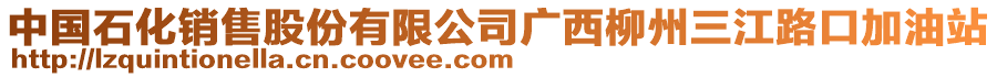 中國石化銷售股份有限公司廣西柳州三江路口加油站