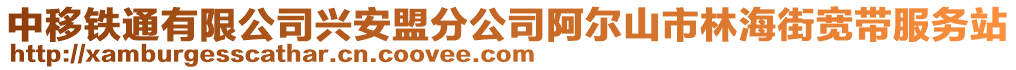 中移鐵通有限公司興安盟分公司阿爾山市林海街寬帶服務站