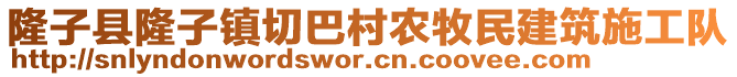 隆子縣隆子鎮(zhèn)切巴村農(nóng)牧民建筑施工隊(duì)