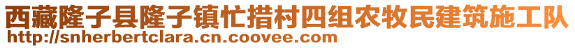 西藏隆子縣隆子鎮(zhèn)忙措村四組農(nóng)牧民建筑施工隊(duì)