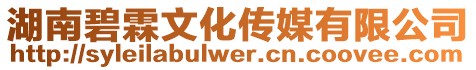 湖南碧霖文化傳媒有限公司