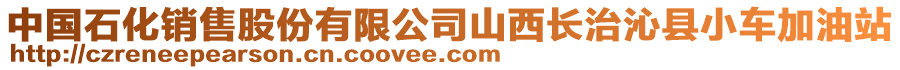 中國(guó)石化銷(xiāo)售股份有限公司山西長(zhǎng)治沁縣小車(chē)加油站