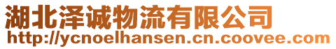 湖北澤誠物流有限公司