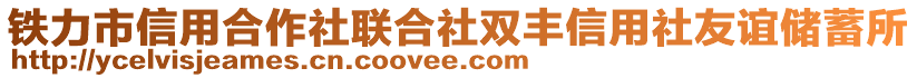 铁力市信用合作社联合社双丰信用社友谊储蓄所