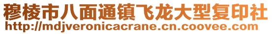 穆棱市八面通镇飞龙大型复印社