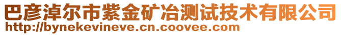 巴彥淖爾市紫金礦冶測試技術有限公司