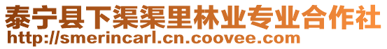泰寧縣下渠渠里林業(yè)專業(yè)合作社
