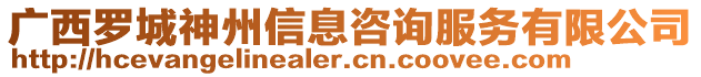 廣西羅城神州信息咨詢服務(wù)有限公司