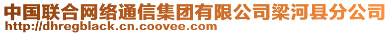 中國聯(lián)合網(wǎng)絡(luò)通信集團(tuán)有限公司梁河縣分公司