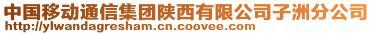 中國(guó)移動(dòng)通信集團(tuán)陜西有限公司子洲分公司