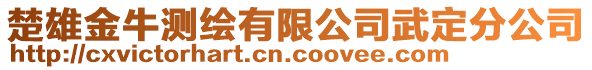 楚雄金牛測繪有限公司武定分公司