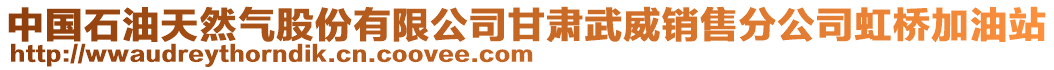 中國石油天然氣股份有限公司甘肅武威銷售分公司虹橋加油站