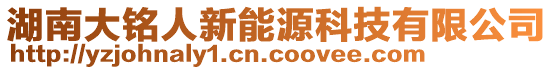 湖南大銘人新能源科技有限公司