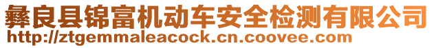 彝良縣錦富機(jī)動車安全檢測有限公司