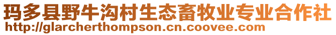 瑪多縣野牛溝村生態(tài)畜牧業(yè)專業(yè)合作社