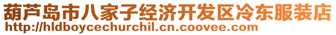 葫芦岛市八家子经济开发区冷东服装店