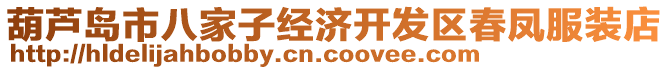 葫芦岛市八家子经济开发区春凤服装店