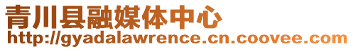 青川縣融媒體中心