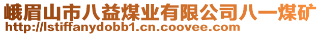 峨眉山市八益煤業(yè)有限公司八一煤礦