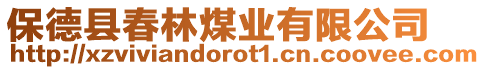 保德縣春林煤業(yè)有限公司