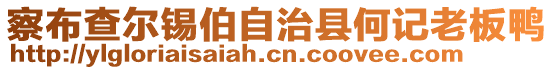 察布查爾錫伯自治縣何記老板鴨