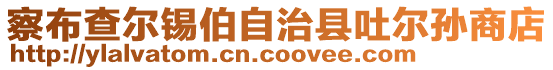 察布查尔锡伯自治县吐尔孙商店