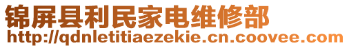 錦屏縣利民家電維修部