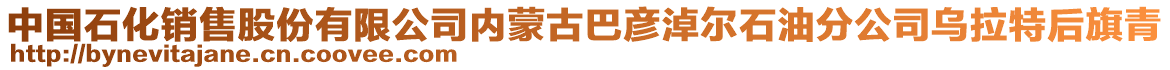 中國石化銷售股份有限公司內蒙古巴彥淖爾石油分公司烏拉特后旗青