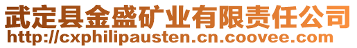 武定縣金盛礦業(yè)有限責(zé)任公司