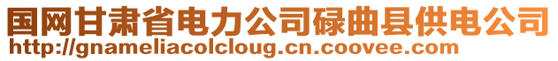 國(guó)網(wǎng)甘肅省電力公司碌曲縣供電公司