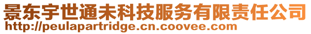 景東宇世通未科技服務有限責任公司