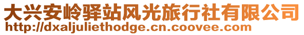 大兴安岭驿站风光旅行社有限公司