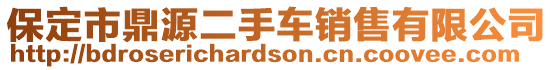 保定市鼎源二手車銷售有限公司