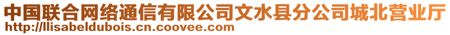 中國聯(lián)合網(wǎng)絡(luò)通信有限公司文水縣分公司城北營業(yè)廳