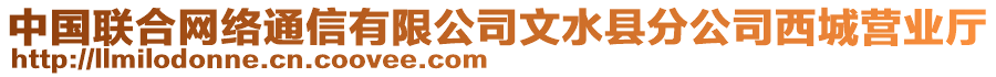 中國聯(lián)合網(wǎng)絡(luò)通信有限公司文水縣分公司西城營業(yè)廳