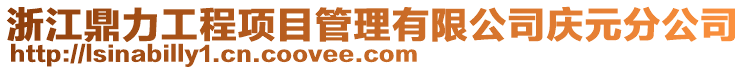 浙江鼎力工程項目管理有限公司慶元分公司