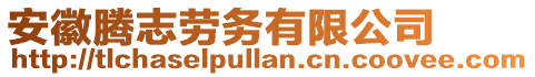 安徽騰志勞務有限公司