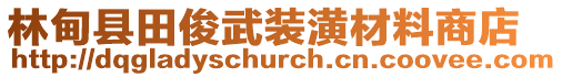 林甸縣田俊武裝潢材料商店