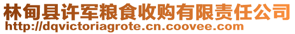 林甸县许军粮食收购有限责任公司