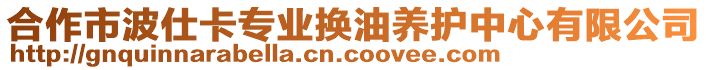 合作市波仕卡專業(yè)換油養(yǎng)護(hù)中心有限公司